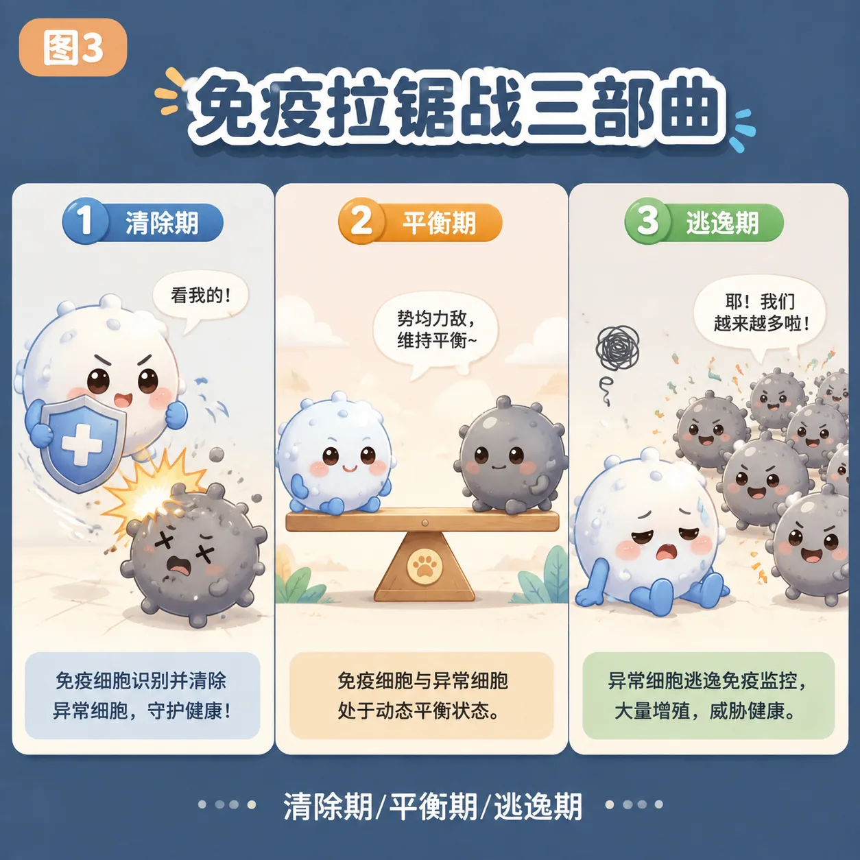 免疫拉锯战三部曲:清除→平衡→逃逸