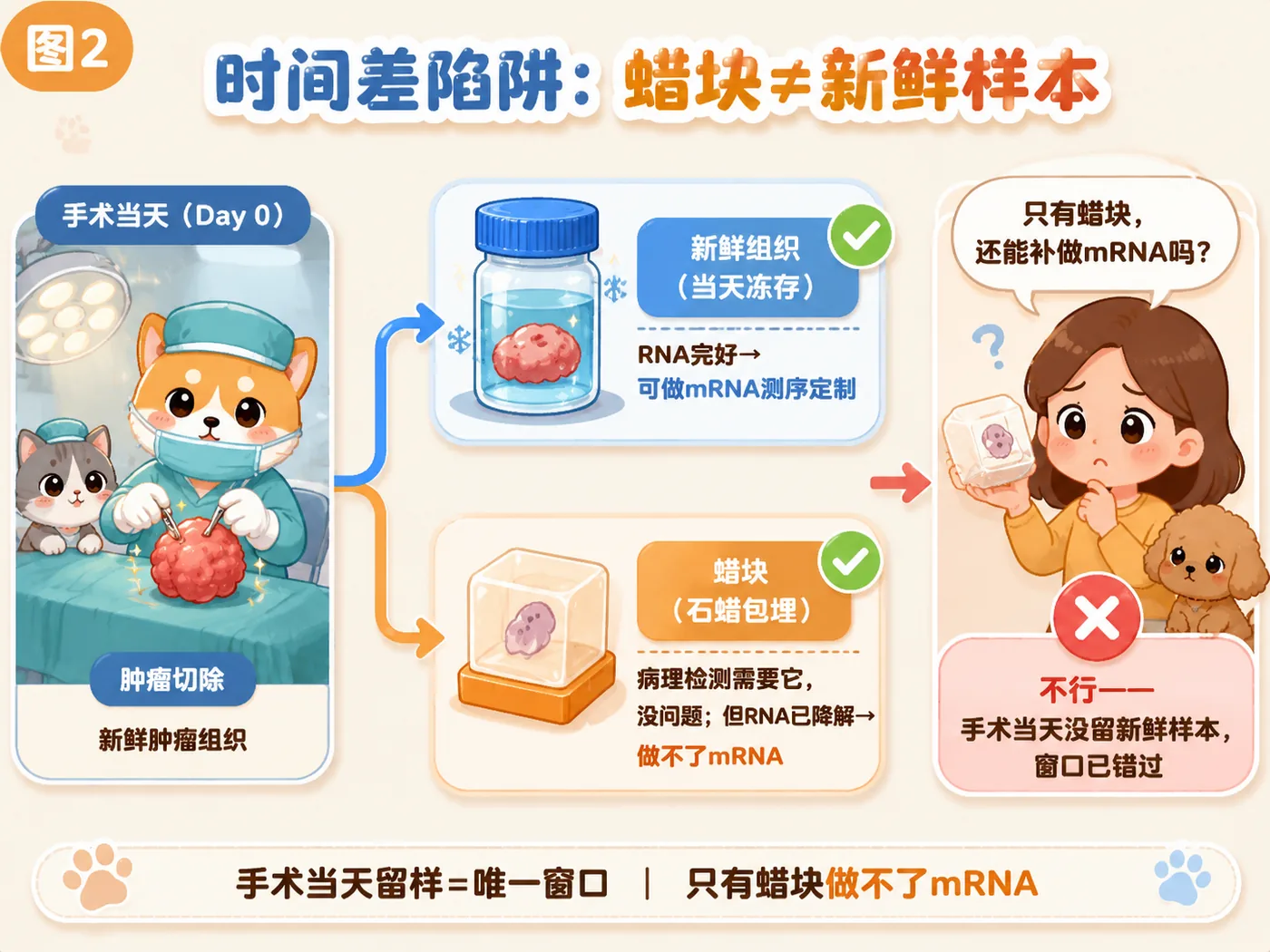 Paraffin block vs fresh tissue: the block confirms the cancer type but cannot support personalized customization