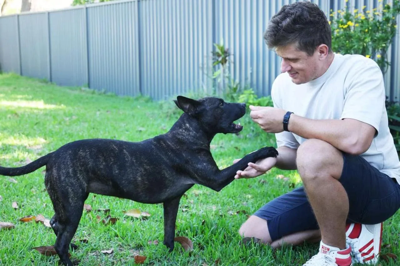 Rosie with her owner Paul — the dog behind the first documented personalized mRNA vaccine for a dog